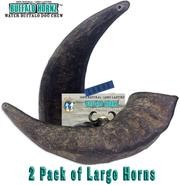 2 unidades de Buffalo hornz grande larga duración 100% Natural Cuerno de búfalo de agua perro Chews