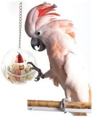 Difunisea Parrot Foraging Systems Foraging Wheel -Hapaus for Parrot Macaw African Greys Budgies Parakeet Cockatiel Conure Cage
