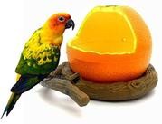 Pxlucky - Comedero para pájaros, cuenco para comida de pájaros, taza para loros pequeños, cacatúas, hámster, pequeño animal, re