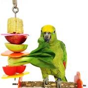 rypet brochetas de pájaros, aves y animales pequeños soporte frutas y verduras de acero inoxidable para jaulas