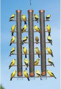 Songbird Essentials Cobre Acabado Finches Favorite Tubo de 3 pájaros se324 C