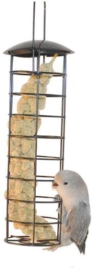 QBLEEV alimentador de tubo de pájaro, colgante de loro, tubo de forraje de juguetes para jaulas, soporte de mijo creativo para