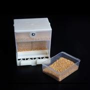 rypet no-mess alimentador del pájaro – parrot alimentador automático integrado para pájaros pequeño a mediano
