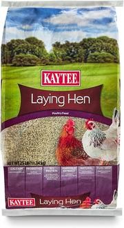 Kaytee dieta de gallina ponedora