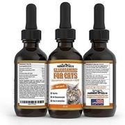 Paramount mascota salud líquido Glucosamina para gatos | Gato cadera y suplemento líquido las articulaciones con glucosamina co