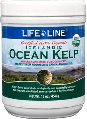 Life Line Pet Nutrition Organic Ocean Kelp Supplement for Skin & Coat, Digestion, Teeth & Gums in Dogs & Cats, 8-Ounce